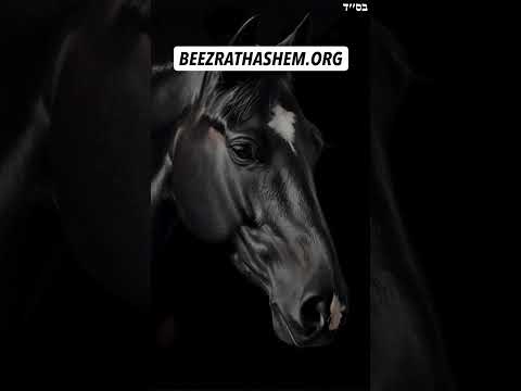Reincarnated As A Horse #Torah #Jewish #RabbiYaronReuven
