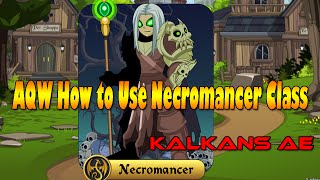AQW How to use Necromancer Class! (Solo,Enchants,Skills!)