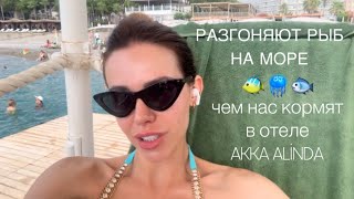 ЗАВТРАК, ОБЕД А-ЛЯ КАРТ И СУМАСШЕСТВИЕ НА ПЛЯЖЕ 🤪 отдых в отеле AKKA ALINDA ☀️💓🌊