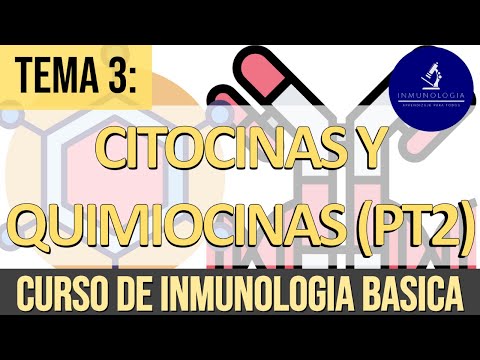 Citocinas y Quimiocinas Parte 2: Familia del TNF, IL 17, Quimiocinas y Señalización por Fas-FasL