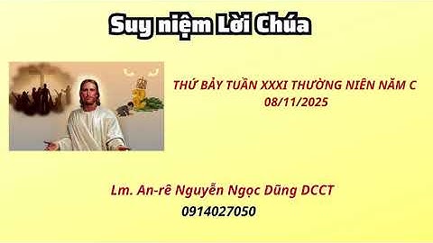 Suy niệm Lời Chúa thứ bảy tuần XXXI thường niên năm C 01/11/2025 Lm. An-rê Nguyễn Ngọc Dũng DCCT