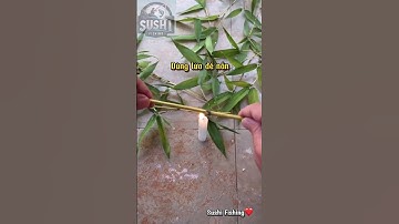 Cần câu tre tuổi thơ #cauca