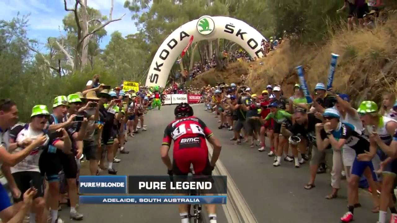 Stage 3 Pure Blonde, Pure Legend trump