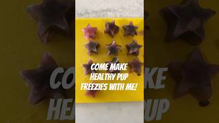 Come Make Pup Freezie Treats With Me! #dogfoodrecipe