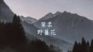 葉柔 Daria Yeh 野薑花