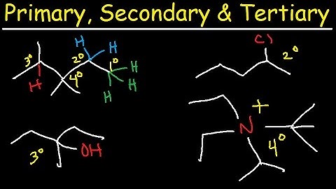 Primary, Secondary, Tertiary, & Quarternary Hydrogen and Carbon Atoms