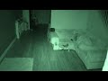 NONE STOP PARANORMAL ACTIVITY IN MY HAUNTED HOUSE