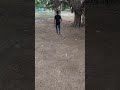 OTT Slingshot Shooting 🎯☠️#slingshot #diy #catapult
