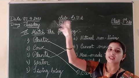 judgement of the owl (Match and Fill in the blanks) class 3