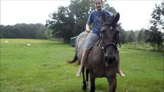 I want crazy! - horses rearing bareback