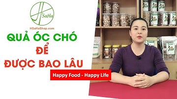 Quả Óc Chó Để Được Bao Lâu? | HSaHa