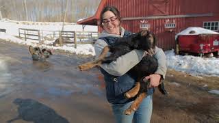 joyful farmer embraces a young goat on winter farm by TMA WORLD 2 views 1 month ago 12 seconds