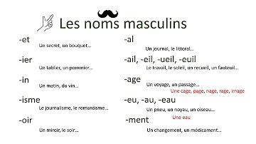 Quel est le masculin de manche ?