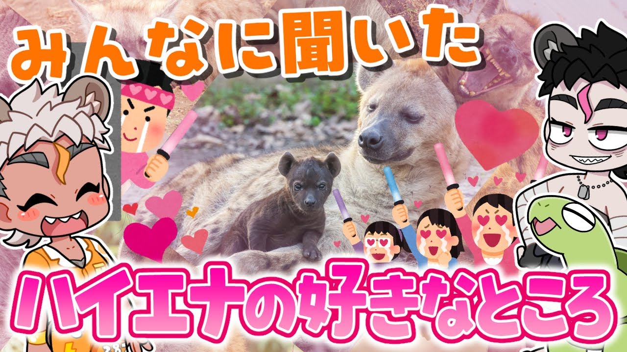 【愛】みんなに聞いた「ハイエナの好きなところ」大発表！！【骨淵ファング】 #ブチハイエナ #ハイエナ #動物 #vtuber