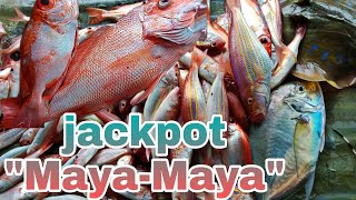 KITANG or PALANGRE | traditional fishing in Philippines