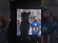 Funny Dog