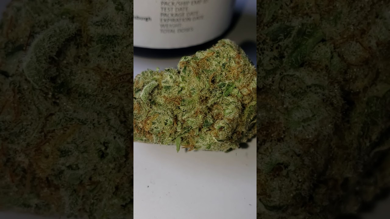 👨‍🦲💨Medical Marijuana Review #67 : Mob Boss : Farmaceutical RX ( Chemdawg D × Tang Tang )