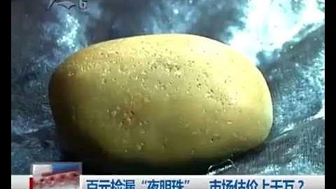 男子百元捡漏“夜明珠”  市场估价上千万 - 天天要闻