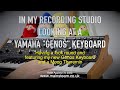 A MOOG THEREMIN AND A YAMAHA GENOS KEYBOARD - IN THE STUDIO