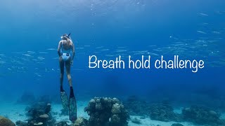 Can You Hold Your Breath Through This Dive?
