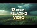 Stormy Skies Over Dreamlike Grass Fields | 8K Relaxing Ambient Music & Nature Sounds