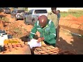 NEMA halts illegal construction of multi-storeyed buildings in Kajjansi Wetland