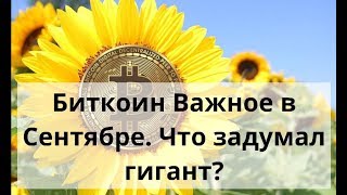 Биткоин Важное в Сентябре. Что задумал гигант? Курс биткоин доллар Биткоин Важное в Сентябре. Что задумал гигант? Курс биткоин доллар
