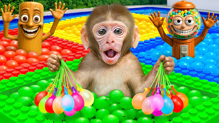 KIKI Monkey Swim in Four Colors Water Balloons Pool with His Duck Friend | KUDO ANIMAL KIKI