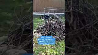 Jozy has the right idea when it comes to his #wfh schedule 🐶 #remotework #buffer