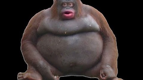 Exploder Infestation