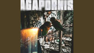 Agapornis