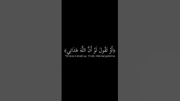 كروما قرآن كريم🌹 بصوت الشيخ عبد البديع غيلان| خطوط جديدة🎁🎁☺️