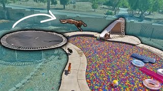 INSANE TRAMPOLINE FLIPS INTO BALL PIT FILLED POOL!!! w/ FUNK BROS