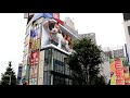 3D Cat Tokyo: Giant 3D Cat Billboard Appears Over Tokyo's Shinjuku District