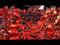 ASMR BLACK BEAN NOODLES, SPICY SEAFOOD, SPICY ENOKI MUSHROOM, 해물찜, OCTOPUS, CHICKEN 짜장라면 먹방 MUKBANG