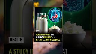 Can Kefir Reverse Lactose Intolerance? Science-Backed Gut Health Benefits Explained