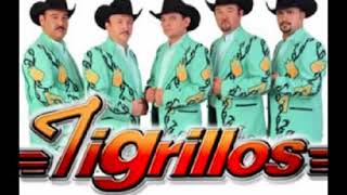 MIX TIGRILLOS PARA BAILAR BY POLO1