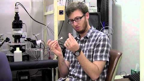 Patch Clamp, Abdullah Aleem, James Zhu