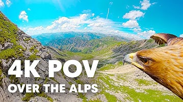 Breathtaking Eagle POV Flying Over The Alps in 4K