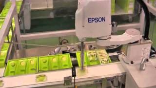 Epson Fans Packaging Cookies G3 Scara.
