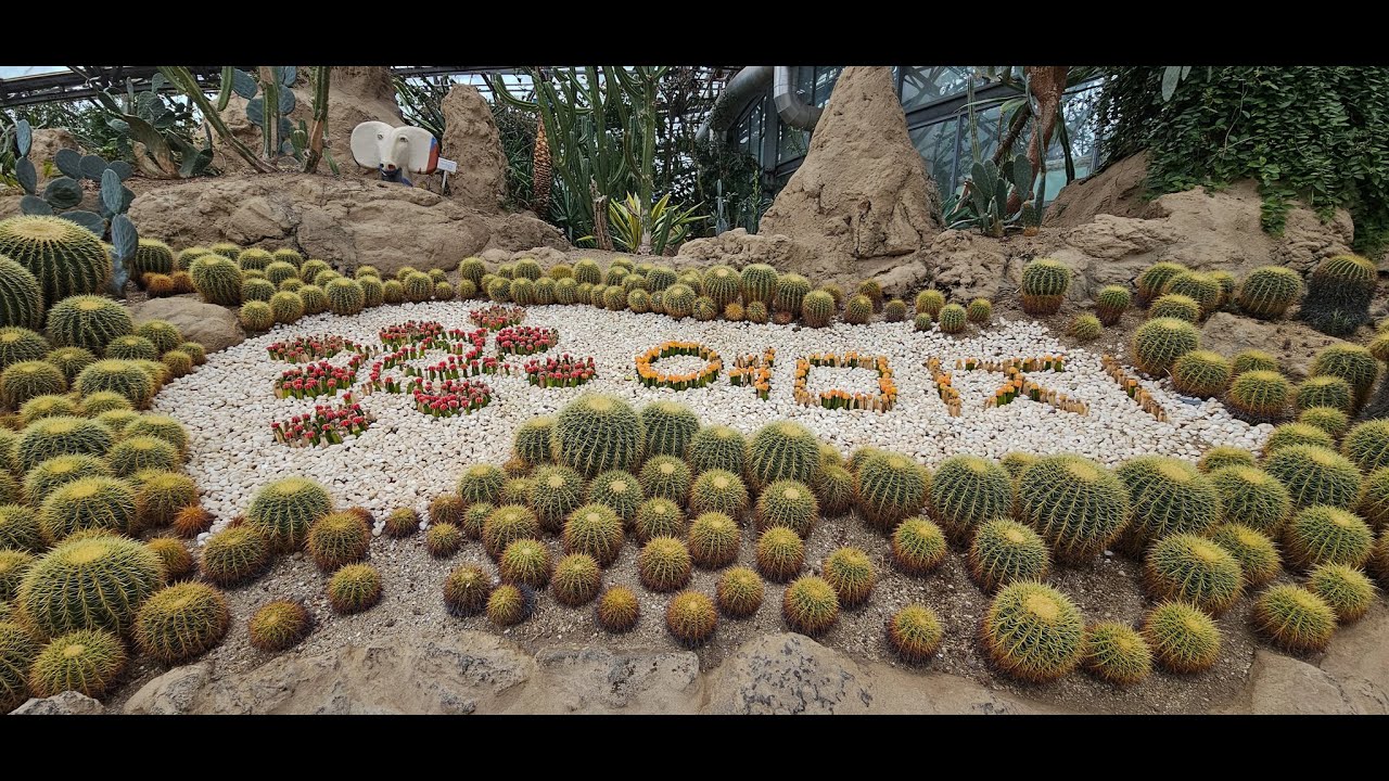 천제연폭포와   여미지식물원 /  제주의 원시림속의 천제연폭포 / 초대형  식물원 / You are my  Sunshine / 260125