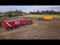 Loonbedrijf Broekx | Mais hakselen 2020 | 2x Claas Jaguar 960 | 9x Fendt