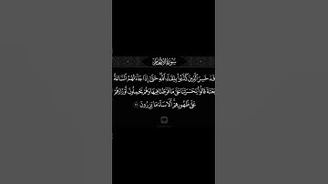 القرآن الكريم سورة الأنعام آيه ٣١