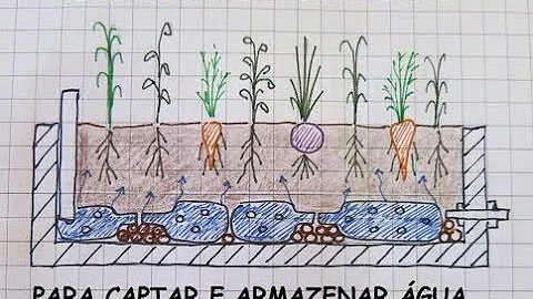 Qual a importância da permacultura?