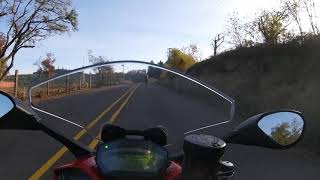 Mark's Ridge
