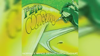 Download Lagu Normal X Wanda (Sergio Garcia Mashup) MP3