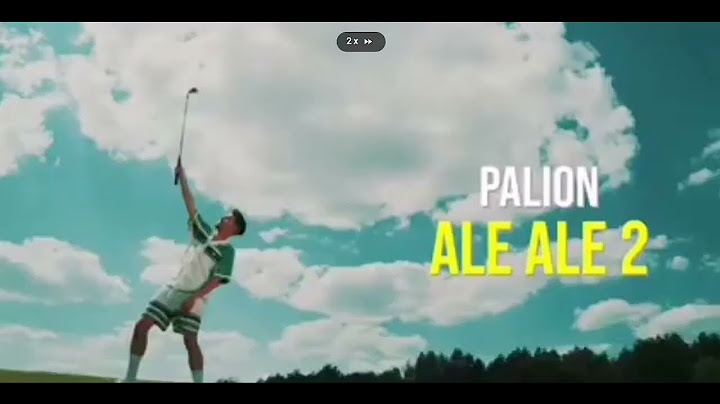 Palion Ale Ale 2 4x