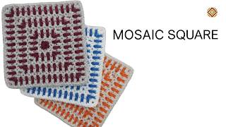 Famous Mosaic Granny Square Tutorial 🌿 Pattern 3 Step-by-Step (Beginner Friendly) Net Worth