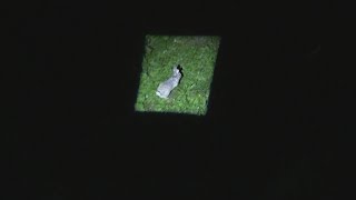 Square Beam Flashlight