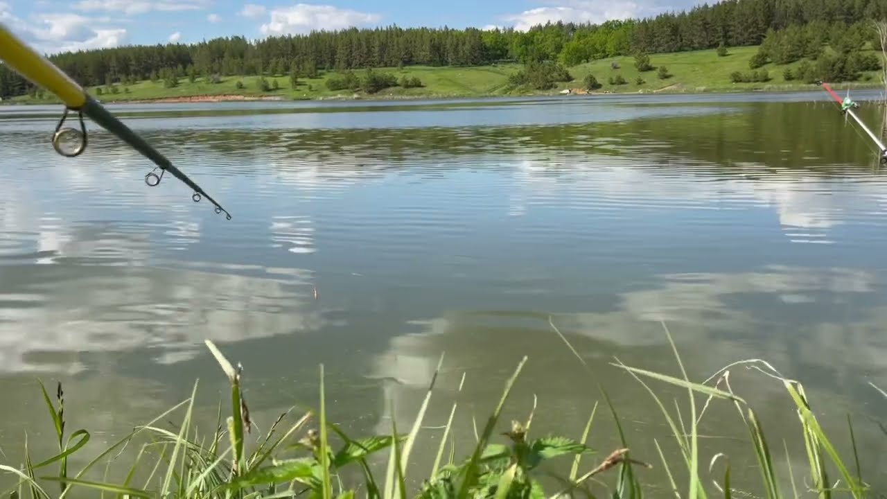 Платная Рыбалка в Ташле (Самарская область)